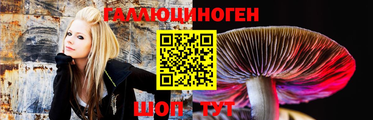 Галлюциногенные грибы MAGIC MUSHROOMS  Вход с VPN  Галлюциногенные грибы Cubensis  Мелеуз 